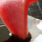 プライバシーポリシー